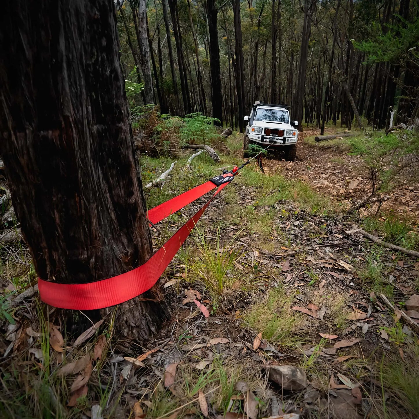 SABER OFFROAD 13,000KG 5M Tree Trunk Protector