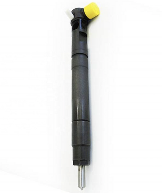 DELPHI COMMON RAIL INJECTOR R00301D