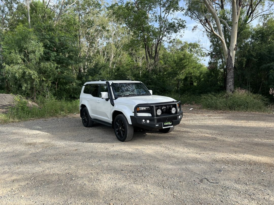 FATZ 250 Series Prado 4″ Stainless Snorkel